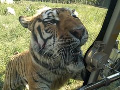 -西安秦岭野生动物园