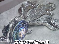 -青岛贝壳博物馆