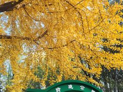 -玲珑塔公园
