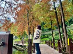 -重庆彩云湖湿地公园