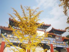 -迎泽公园