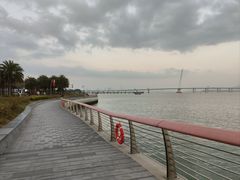 -深圳湾公园(南山区)