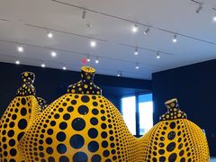 -旧金山现代艺术博物馆