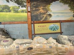 -华山御温泉度假村