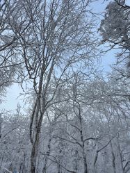 -大秃顶子山