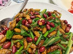 -侨美·唐荔园·40年地道粤菜