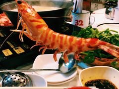 -鲜入围煮花胶鸡海鲜火锅