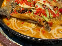 -老板恋上鱼(恒隆广场店)