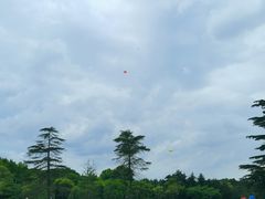 -上海共青森林公园