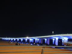 -演武大桥观景平台