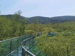 -陶祖圣境风景区