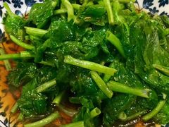 清炒豆苗-小实惠嘉(威海路店)