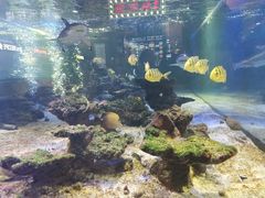 -凯德广场(学府店)