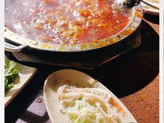 -巴倒烫陆派重庆火锅(南山店)