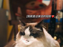 -咖法森林·咖啡  酒吧(天河店)