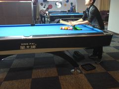 -丁俊晖台球俱乐部(海上海·弘基休闲广场店)