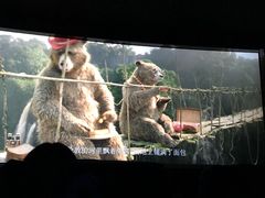 -金逸影城(大悦城IMAX激光店)