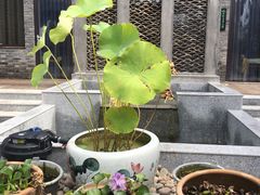 -蓟县沐风庄园精品民宿农家院(梨木台店)