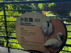 -九龙公园