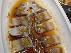 -席家花园(巨鹿花园店)