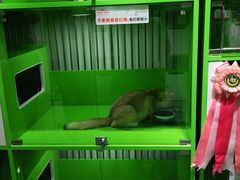-唐小姐の猫狗洗护·购宠旗舰店(周浦万达店)