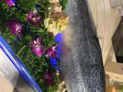 -红咖啡西餐厅·自助餐(惠州翡翠山华美达酒店)