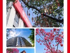 -天籁艺术高考培训学校·重庆艺考集训