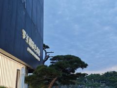 -罗红摄影艺术馆