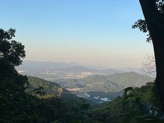 -广州市帽峰山景区