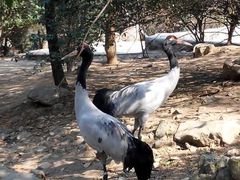 android_upload_pic-西安秦岭野生动物园