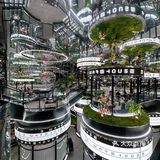 这么美这么近周末到新加坡🌍