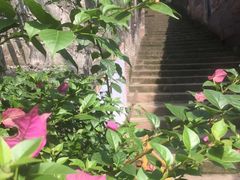-尧坝古镇
