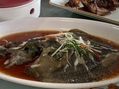 -大鸽饭(马王堆店)