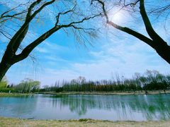 -大兴滨河森林公园