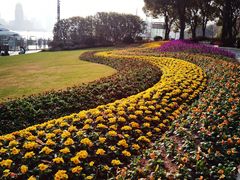 -北外滩滨江绿地