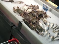 -欧尚(扬州商城江阳中路店)