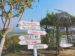 -黄色小屋