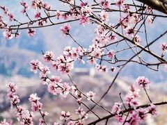 -八达岭长城