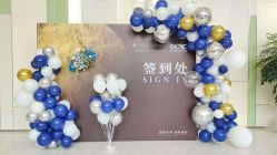 -苏派宝宝生日宴·求婚策划·气球派对布置(园区店)