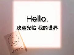 -荷花泰菜(东方新天地店)