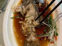 清蒸鲈鱼-南方酒店·淮扬菜(回民街店)