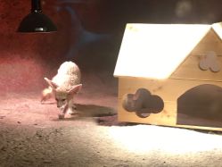 -酷嗒动物文化乐园(cutezoo西溪乐天城店)