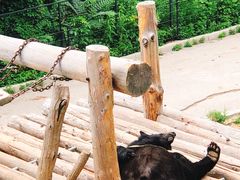 -大连森林动物园