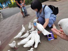 -国色天乡三期陆地乐园