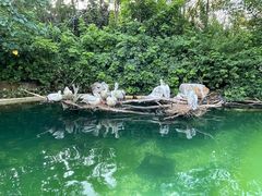 -珠海长隆海洋王国