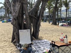 -大梅沙海滨公园