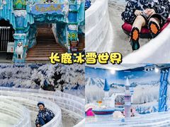 -长鹿旅游休博园