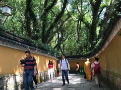 -普陀山风景名胜区-法雨禅寺