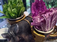 -慢丽江·云南野生菌土鸡锅(西山店)