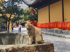 -龙华素斋(龙华路店)